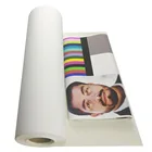260gsm Waterproof Artist Photo Printing Matte Glossy Roll Inkjet Polyester Eco Solvent Canvas