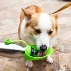 food grade 304 stainless steel silicone lid travel pet drink water bottles dogs