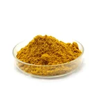 Red/yellow Ginger Powder Dried Ginger Root Extract Powder