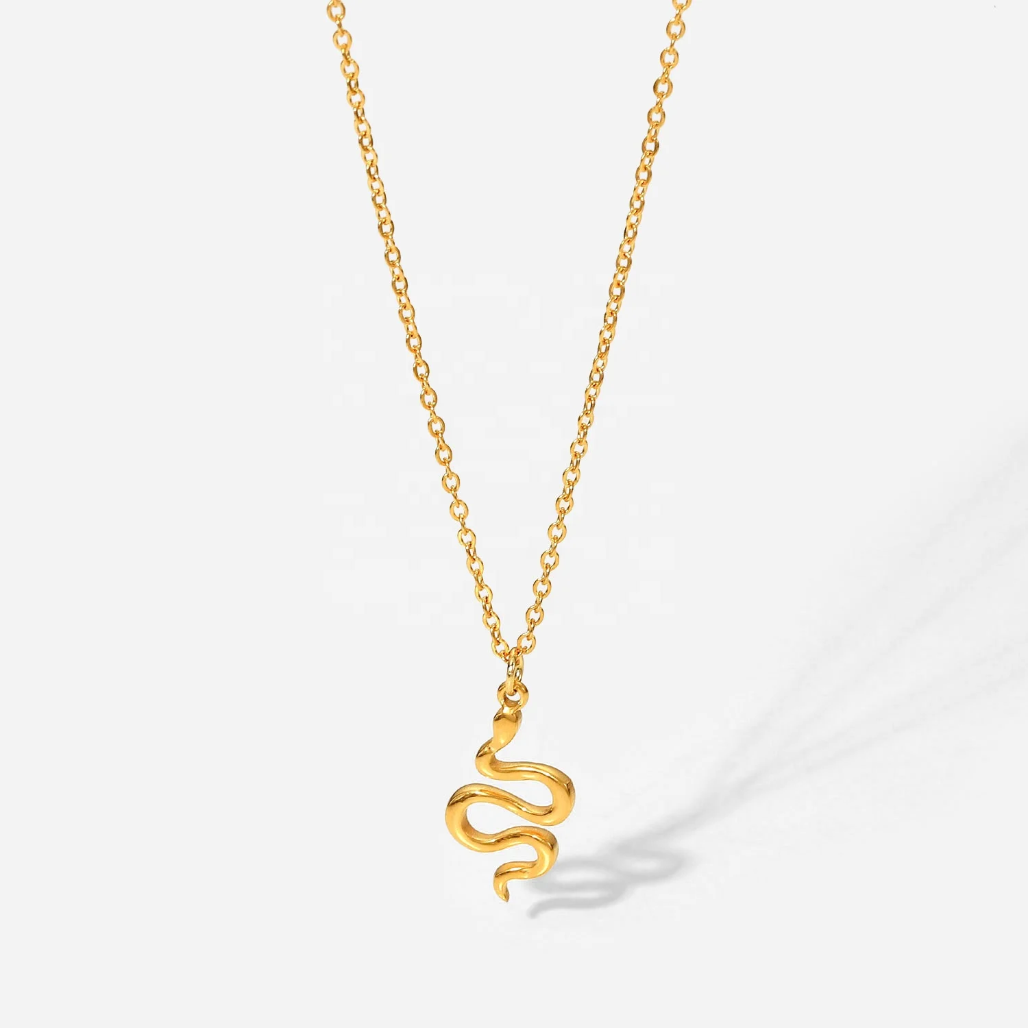 Popular Stainless Steel Link Chain Snake Pendant Necklace Jewelry Snake Pendant Necklace
Popular Stainless Steel Link Chain Snake Pendant Necklace Jewelry Snake Pendant Necklace