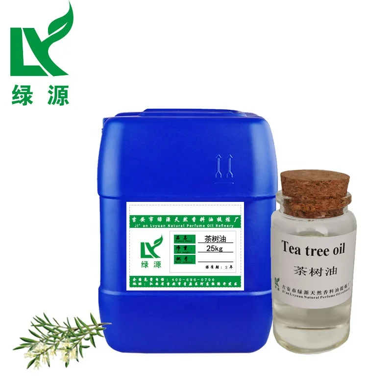 Tea tree oil bulk/cajeput oil/Melaleuca oil for aromatherapy oil with effect for anti-bacteria
Tea tree oil bulk/cajeput oil/Melaleuca oil for aromatherapy oil with effect for anti-bacteria