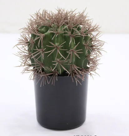 Red and green plastic artificial tropical cactus plants round ball indoor cactus plants, Green yellow and red
Red and green plastic artificial tropical cactus plants round ball indoor cactus plants, Green yellow and red