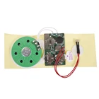 High Quality Light Activate Sound Module with Custom Messages