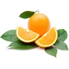 /product-detail/navel-oranges-at-the-best-prices-are-hot-cheap-and-delicious-355419065.html