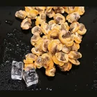 Frozen Shellfish And Boiled Arkshel Meat In Season