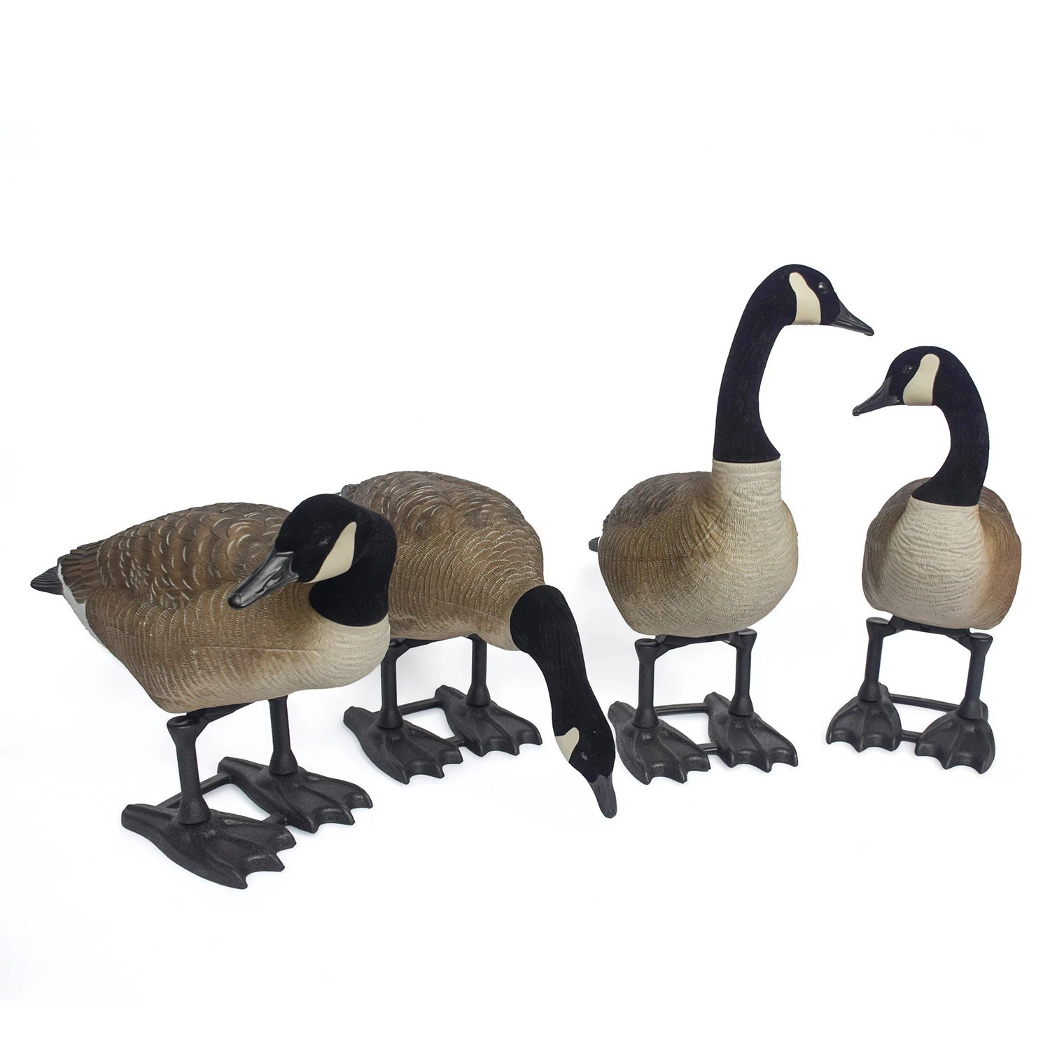 Hot Selling Diversity Realism Light Weight EVA Outdoors Full-Body Goose Decoys with 6 Pack Variety Head
Hot Selling Diversity Realism Light Weight EVA Outdoors Full-Body Goose Decoys with 6 Pack Variety Head