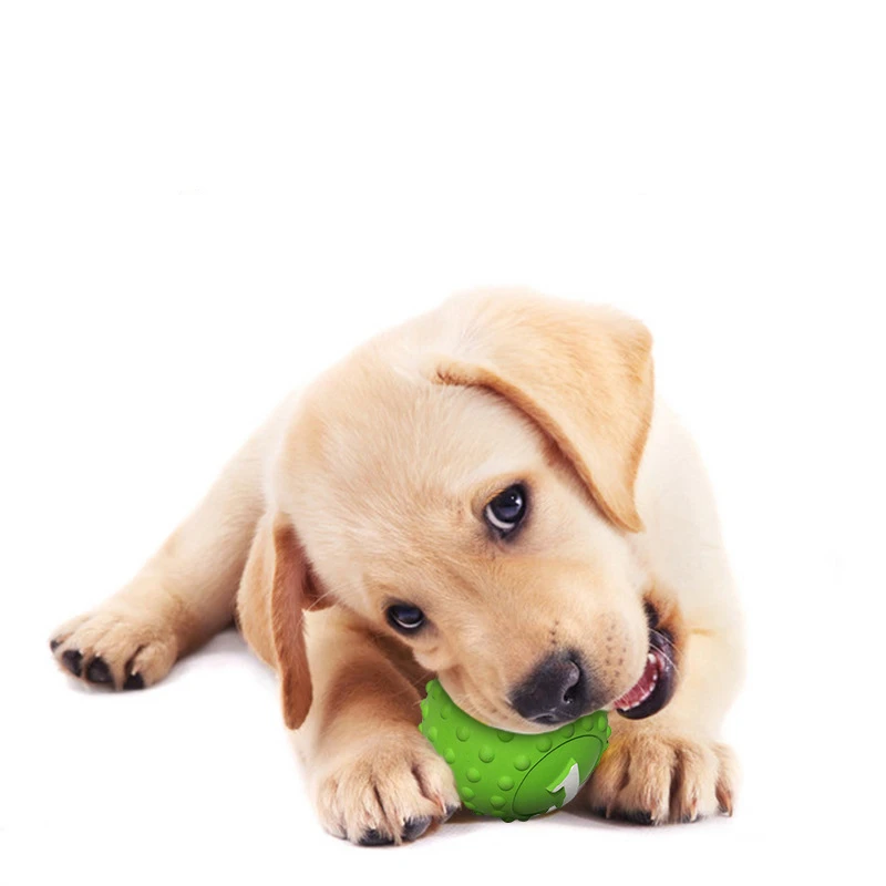 HY-Wholesale Teeth Cleaning Sound ball teeth grinding relief rolling Dog Toys Ball Latex Squeaky Dog Toy, As pictures
HY-Wholesale Teeth Cleaning Sound ball teeth grinding relief rolling Dog Toys Ball Latex Squeaky Dog Toy, As pictures