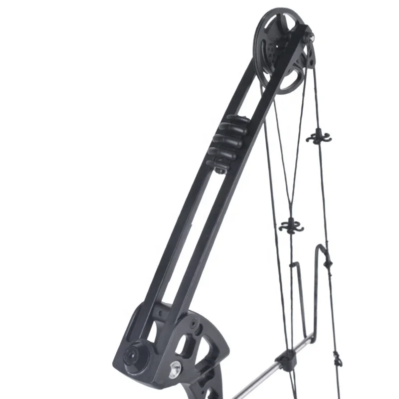 Archery Manufacturers Hunting Limb Cam Bow Glass fiber Limb Replacement Compound Bow Limb, Black
Archery Manufacturers Hunting Limb Cam Bow Glass fiber Limb Replacement Compound Bow Limb, Black