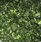 Wholesale Ball Style Fresh Frozen Chopped Spinach