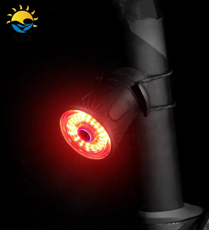 Intelligent Sensor LED Mountain Bicycle Brake Rear Light USB Rechargeable Bike Warning Tail Light, Red
Intelligent Sensor LED Mountain Bicycle Brake Rear Light USB Rechargeable Bike Warning Tail Light, Red
