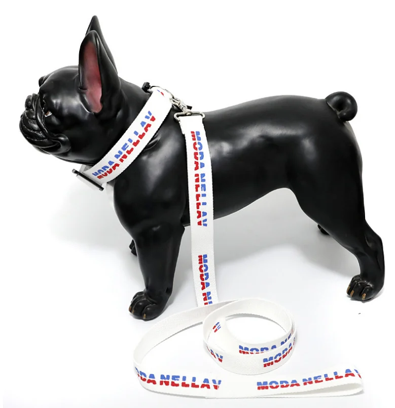 Personalized Adjustable Custom Dog Accessories Nylon Pet Collar And Leash Wholesale With Good Price Supplies, White
Personalized Adjustable Custom Dog Accessories Nylon Pet Collar And Leash Wholesale With Good Price Supplies, White