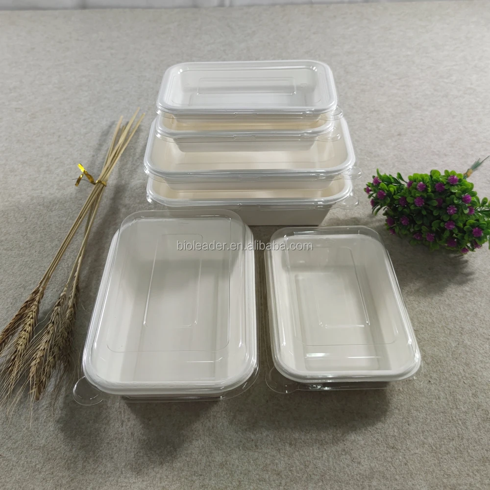 Eco friendly Manufacturer Directly Disposable Ovenable Fresh Food Tray With Cover