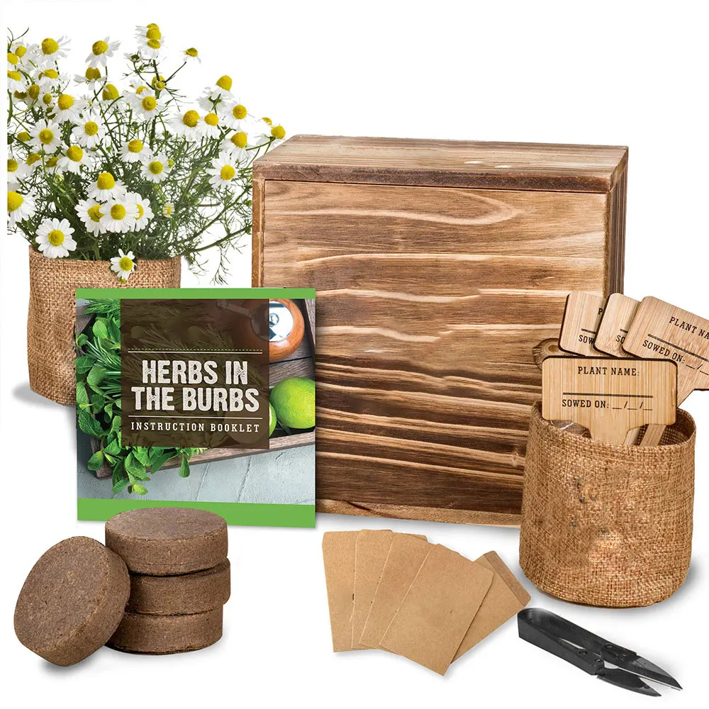 Bonsai Tree Growing Kit - Grow 4 Indoor Bonsai Trees - Plant a Garden from Seeds- Customized Present Gift For Girl and Children
Bonsai Tree Growing Kit - Grow 4 Indoor Bonsai Trees - Plant a Garden from Seeds- Customized Present Gift For Girl and Children