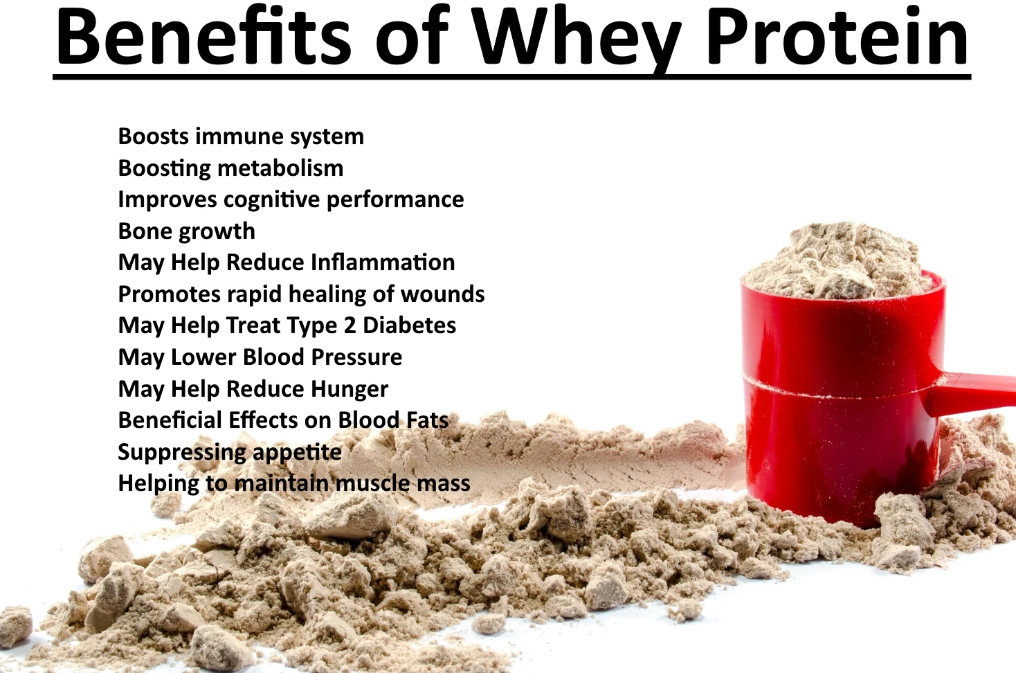 whey protein powder gold standard whey protein prices