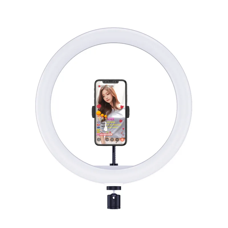 Photographic Lighting Livestreaming broadcast 12 Inch Tik tok Youtube video RGB led live ring light, Black /pink +white
Photographic Lighting Livestreaming broadcast 12 Inch Tik tok Youtube video RGB led live ring light, Black /pink +white