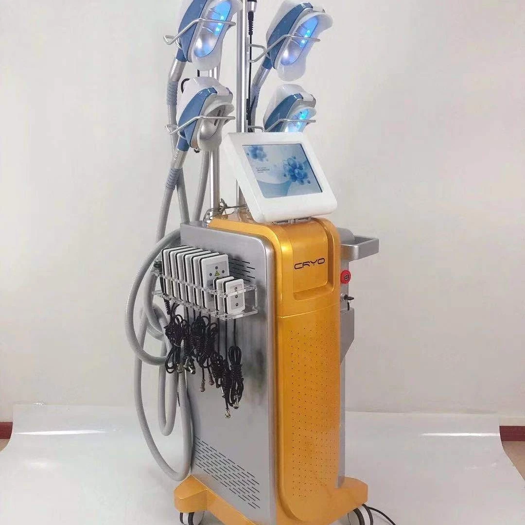 2021 double chin fat body freezing machine fat body freeze machine sale cryotherapy fat body freezing device
2021 double chin fat body freezing machine fat body freeze machine sale cryotherapy fat body freezing device