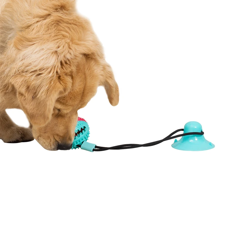 New Arrival Food Grade Teeth Cleaning and Training Dog Teeth Clean Chew Toy, Green/blue
New Arrival Food Grade Teeth Cleaning and Training Dog Teeth Clean Chew Toy, Green/blue