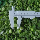 Spring Onion IQF Frozen Green Onion