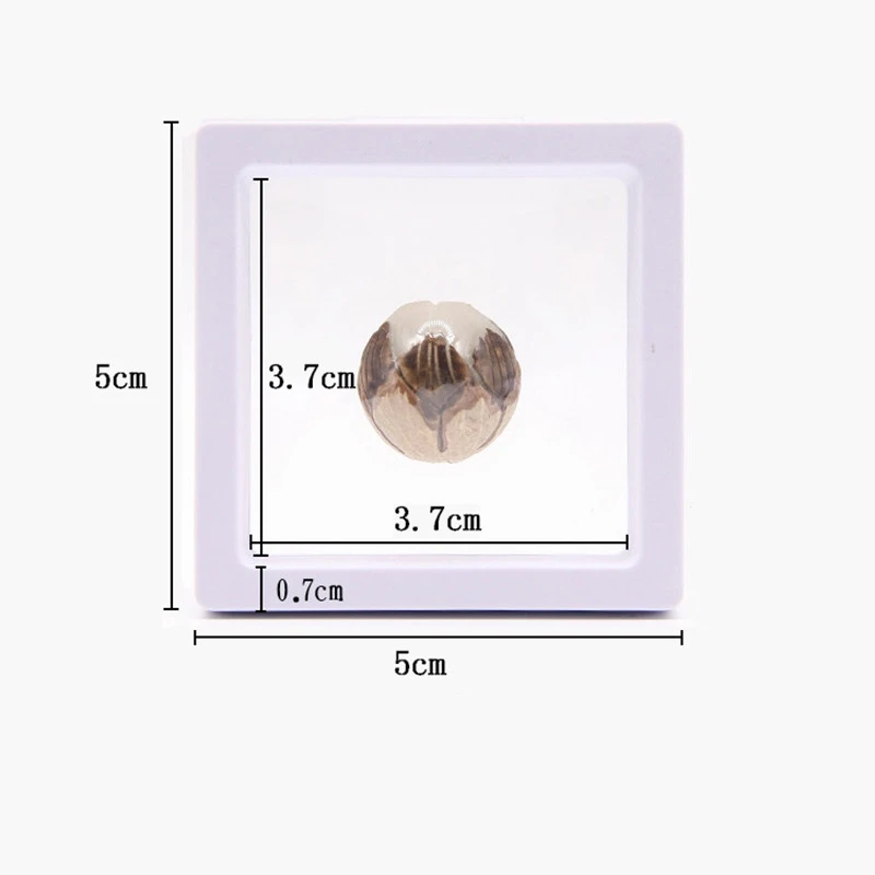 Jewelry Showing Retail Box 5*5cm For Making Up The Balance Of The Transparent Jewelry Display Box, White/black
Jewelry Showing Retail Box 5*5cm For Making Up The Balance Of The Transparent Jewelry Display Box, White/black