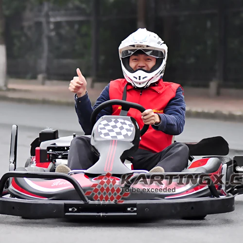 High speed 125cc/ 200cc /270cc cheap adult racing go kart with steel bumper and safety belts