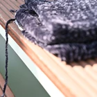 Yarn Yarn Suppliers Popular 6NM Chenille Yarn Polyester Dyed Beautiful Yarn For Knitting