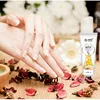 /product-detail/customized-oem-private-label-women-men-skincare-rose-moisturizing-lightening-whitening-hand-cream-hand-lotion-62240307081.html