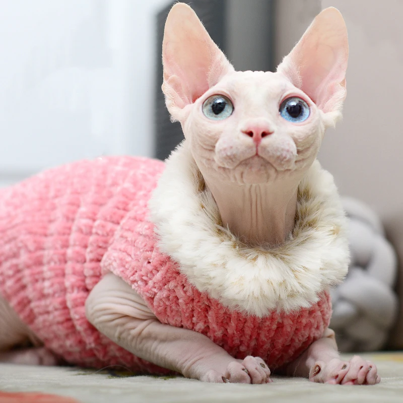 Cat Clothes Handmade Sweater Mink Wool Warm Vest Autumn Winter Hairless Cat Sphinx Pet Clothes
Cat Clothes Handmade Sweater Mink Wool Warm Vest Autumn Winter Hairless Cat Sphinx Pet Clothes