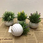 Succulent Plants Hot Sale Assorted Faux Mini Artificial Succulent Decorative Small Plants Bonsai With White Potted