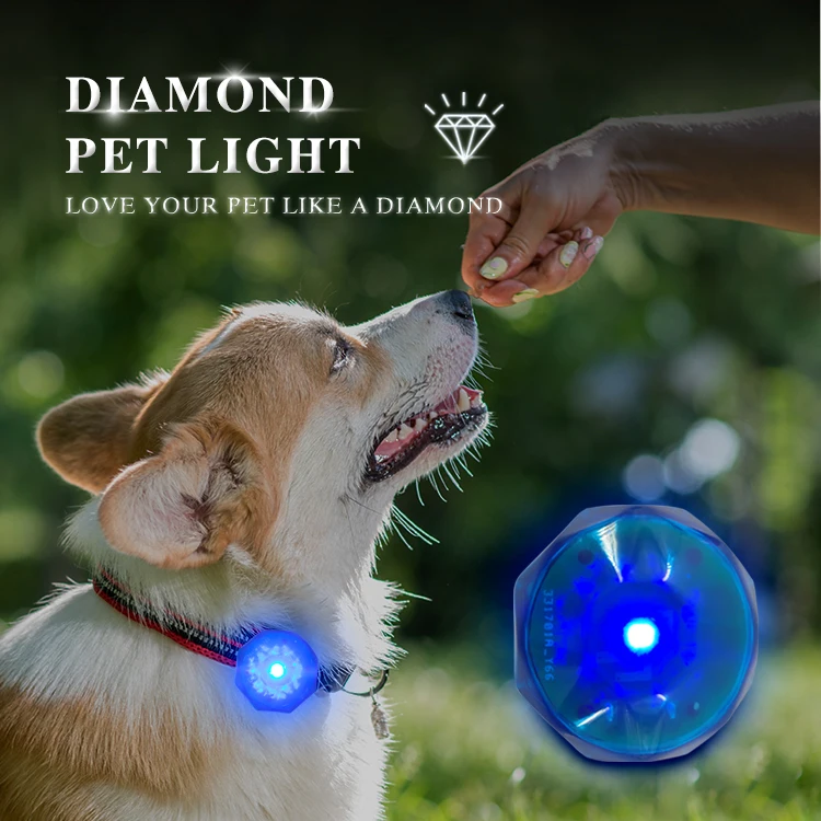 Diamond Dogs Collar LED Tag Glow in The Dark Dogs Waterproof Dog Tag Light Pet Safety Night Walking Lights
Diamond Dogs Collar LED Tag Glow in The Dark Dogs Waterproof Dog Tag Light Pet Safety Night Walking Lights
