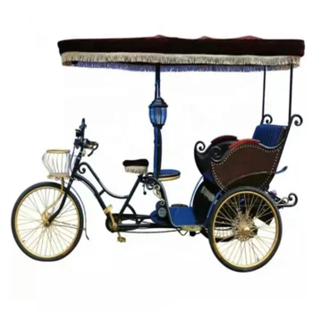 three wheels electricbicycle electric bike/bicycle for park touring & wedding, Red,blue and brown
three wheels electricbicycle electric bike/bicycle for park touring & wedding, Red,blue and brown