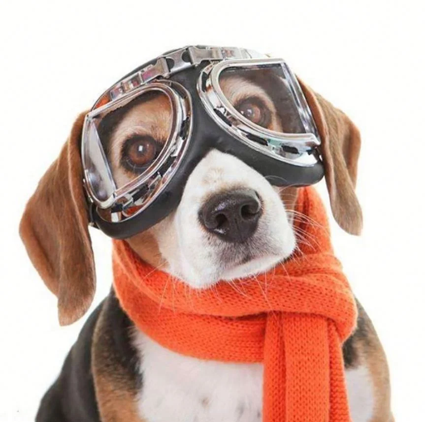 Jhcentury New Cool Fashion Pet Sunglasses Hot Sale Cat Glasses Classic Dog 
Jhcentury New Cool Fashion Pet Sunglasses Hot Sale Cat Glasses Classic Dog