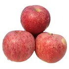 Chinese mature top grade fuji apple fresh fuji golden apple red Qinguan apple