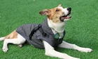 Dog Coats Clothes For Pets Dog Harness Wholesale Clothes Dog Coats Pet Clothes For Winter