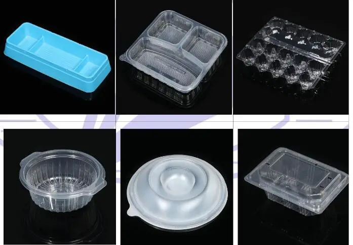 PP TRAY.jpg