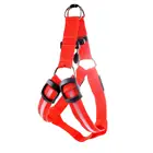High Quality Dogs Accessories Pet LED Harness Flashing Led Safe Pet Collar Leash