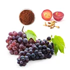 green world products grapeseed oil extract capsules vitis vinifera health benefits resveratrol webber naturals