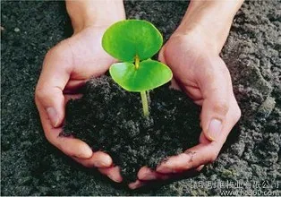 Different Animal Feces Fermentation Processing for Organic Fertilizer