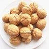 /product-detail/common-cultivation-type-and-raw-processing-type-turkish-walnut-62419130761.html