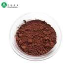 Haccp Dutch Processed High Quality Dutch Processed Unsweetened Cocoa Powder Alkalized