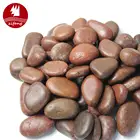Pebbles Aquarium Gravel River Rock Natural Polished Decorative Gravel