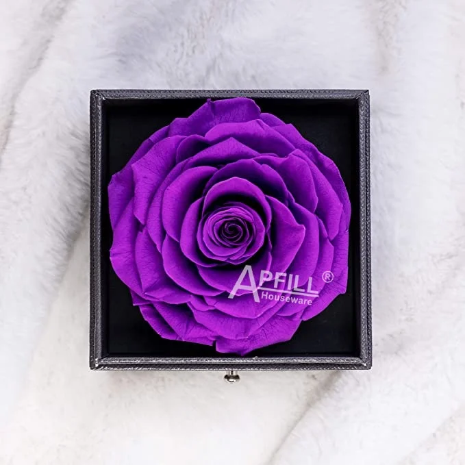 Most Romantic gifts that Jewelry Box Eternal Big Single rose head With necklace Flower Rose Valentine's Day Yunnan supply, More than 50 colors
Most Romantic gifts that Jewelry Box Eternal Big Single rose head With necklace Flower Rose Valentine's Day Yunnan supply, More than 50 colors