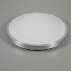 IP20 high brightness white 15/24w home decoration designer ceiling lighting office modern led ceiling lighting