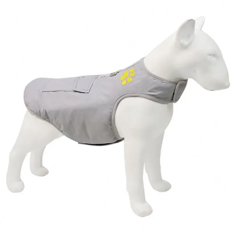 First Class Cute Fall Winter Dog Clothes With Matched Warm Cotton Good Elasticity Pet Vest
First Class Cute Fall Winter Dog Clothes With Matched Warm Cotton Good Elasticity Pet Vest