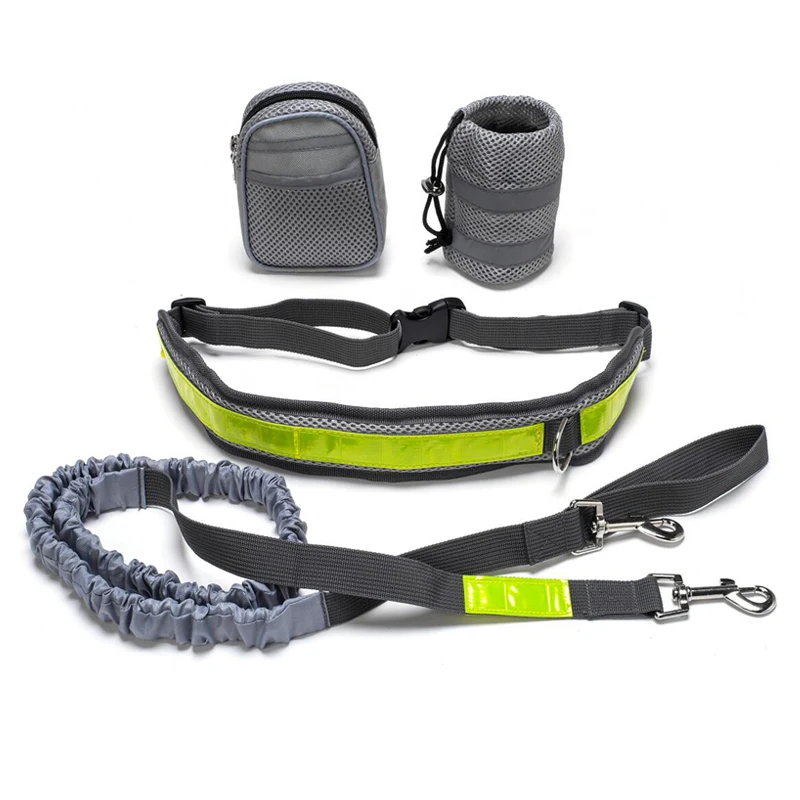 Reflective Stitching Nylon Rope Hands Free Running Free Dog Bungee Leash For Running Walking Hiking
Reflective Stitching Nylon Rope Hands Free Running Free Dog Bungee Leash For Running Walking Hiking