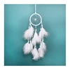Instagram Popular Dream Catcher Handmade Feathers Ornaments Home Wall Hanging Decoration