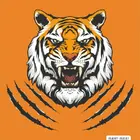 Factory direct sale printable vinyl heat transfer for T-shirts