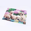 /product-detail/wholesale-customized-3d-lenticular-picture-3d-flip-printing-62352197044.html