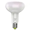 /product-detail/hot-sale-charm-rgb-led-bulb-stage-light-62412031557.html