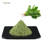 Spinach Juice Powder Spinach Extract Raw Organic Dehydrated Spinach Powder
