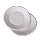 Disposable Plates Sugarcane Bagasse Containers Compostable Paper Plate